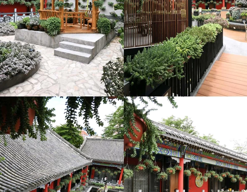 臻品潮菜 - 深圳市旅游 1