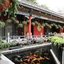 臻品潮菜 - 深圳市旅游 缩略图 9