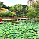 南海文化公园 - 佛山市旅游 缩略图 5