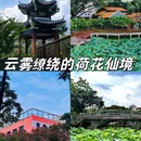 南海文化公园 - 佛山市旅游 缩略图 1