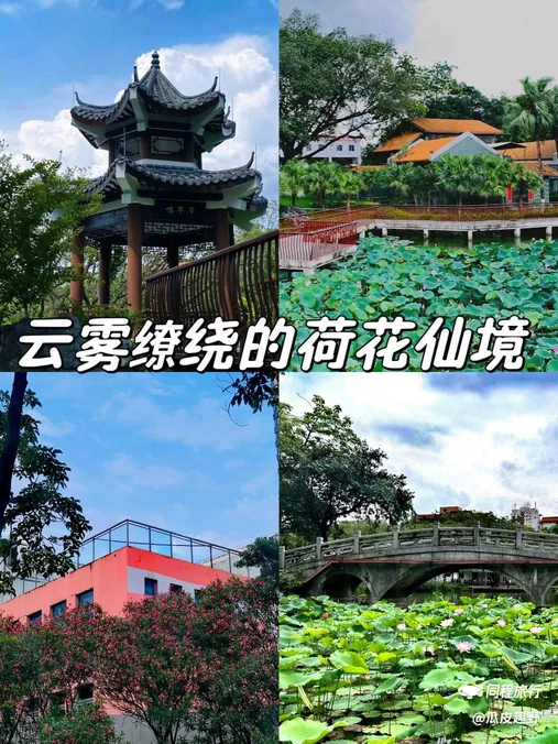 南海文化公园 - 佛山市旅游