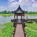 西双湖风景区 - 连云港市旅游 缩略图 6
