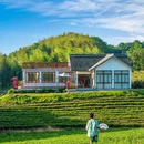 南北湖风景区 - 嘉兴市旅游 缩略图 7
