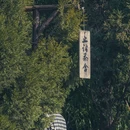 洛阳白马寺 - 洛阳市旅游 缩略图 9