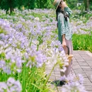 渔江路 - 成都市旅游 缩略图 7