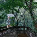 江夏区青龙山国家森林公园 - 武汉市旅游 缩略图 5