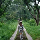 江夏区青龙山国家森林公园 - 武汉市旅游 缩略图 1