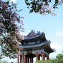 梅花山 - 徐州市旅游 缩略图 9