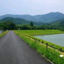 凤凰山考古遗址公园 - 绍兴市旅游 缩略图 2