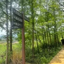 凤凰山考古遗址公园 - 绍兴市旅游 缩略图 5