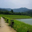凤凰山考古遗址公园 - 绍兴市旅游 缩略图 9