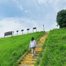凤凰山考古遗址公园 - 绍兴市旅游 缩略图 8