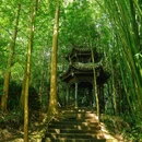 康道 - 成都市旅游 缩略图 9