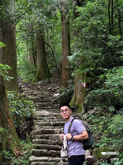 大树王国 - 杭州市旅游