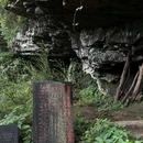 大树王国 - 杭州市旅游 缩略图 7