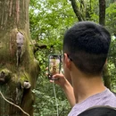 大树王国 - 杭州市旅游 缩略图 9