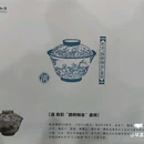 雪柳花瀑 - 杭州市旅游 缩略图 6