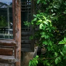 南京秦淮河画舫 - 南京市旅游 缩略图 6
