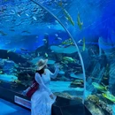 温州乐园游客接待中心 - 温州市旅游 缩略图 5
