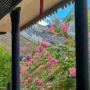余荫山房 - 广州市旅游 缩略图 1