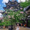 余荫山房 - 广州市旅游 缩略图 9