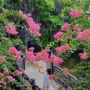 余荫山房 - 广州市旅游 缩略图 7