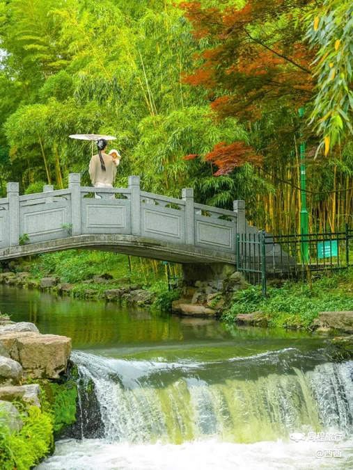 杭州植物园 - 杭州市旅游