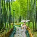 杭州植物园 - 杭州市旅游 缩略图 9
