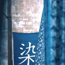 乌镇古镇旅游区 - 嘉兴市旅游 缩略图 9