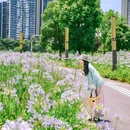成都万象城 - 成都市旅游 缩略图 6