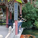 碧江金楼 - 佛山市旅游 缩略图 6