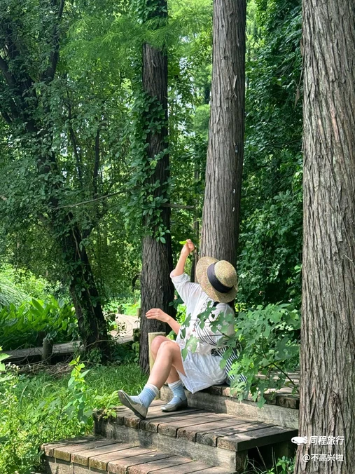中国科学院武汉植物园-特有植物区 - 武汉市旅游