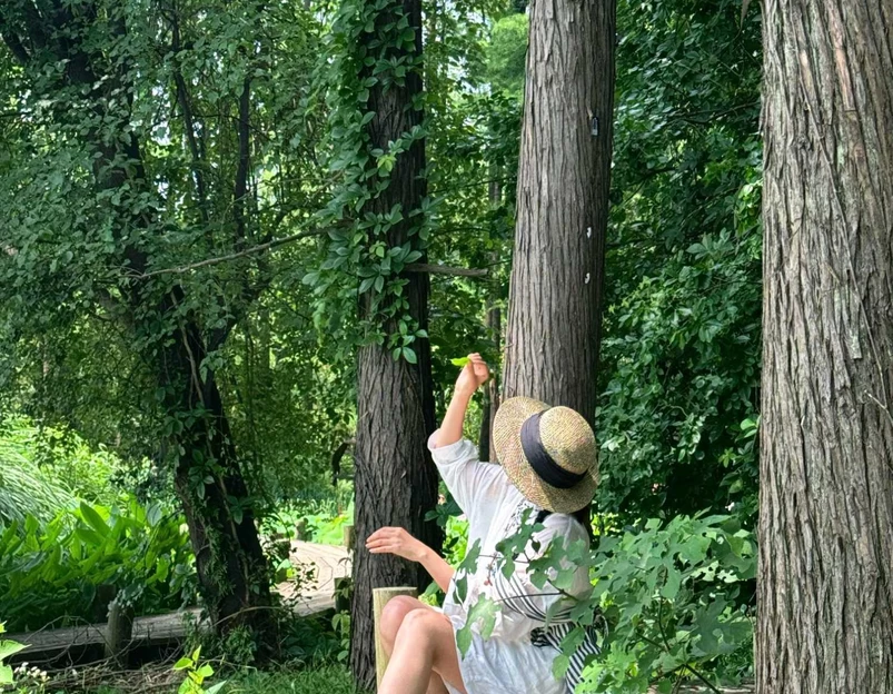 中国科学院武汉植物园-特有植物区 - 武汉市旅游 1