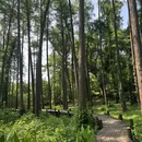 中国科学院武汉植物园-特有植物区 - 武汉市旅游 缩略图 6
