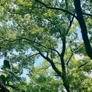 湖北美术学院(昙华林校区) - 武汉市旅游 缩略图 8