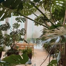弗戈达假日酒店 - 宁波旅游 缩略图 4