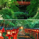 日本 - 海外旅游 缩略图 8