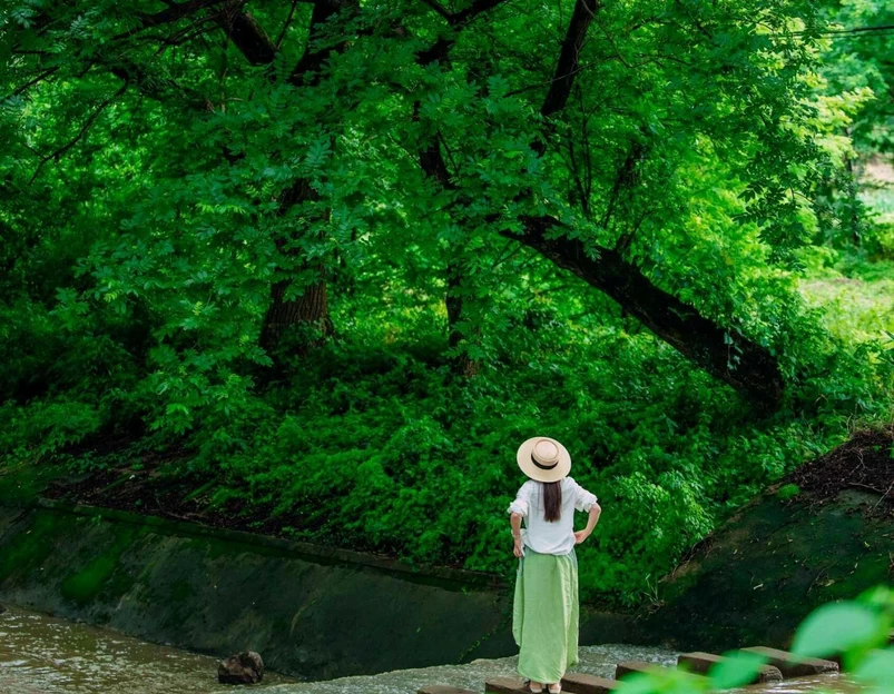 绿岭村 - 芜湖市旅游 1