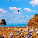 韩国 - 其他旅游 缩略图 1