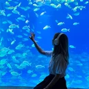 梧桐大道九号 - 南京市旅游 缩略图 9