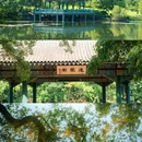 梧桐大道九号 - 南京市旅游 缩略图 8