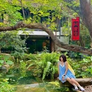 广州兰圃 - 广州市旅游 缩略图 6
