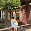 广州兰圃 - 广州市旅游 缩略图 8