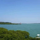 湛江渔人码头 - 湛江市旅游 缩略图 5