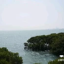 湛江渔人码头 - 湛江市旅游 缩略图 6