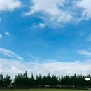 金堂庵 - 苏州市旅游 缩略图 5