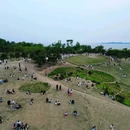 小麦岛公园 - 青岛市旅游 缩略图 7