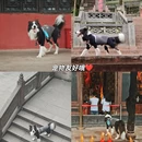 新津老君山 - 成都市旅游 缩略图 3