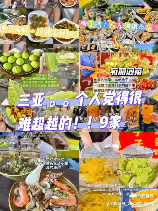 三亚凤凰岛国际邮轮港 - 三亚市旅游