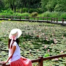 莫奈花园农庄 - 海东市旅游 缩略图 4